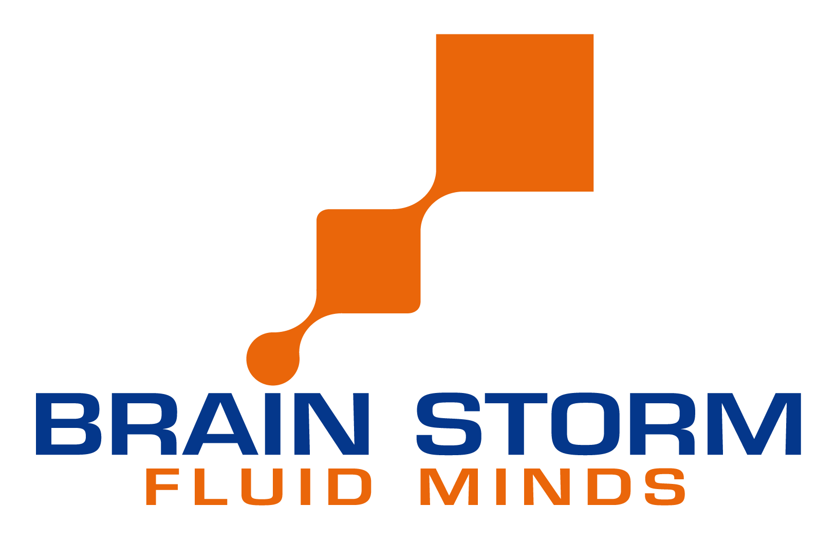 Brain Storm - Consulenza strategica aziendale